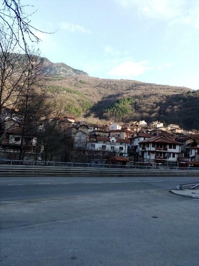 Vila Bachkovo Buitenkant foto